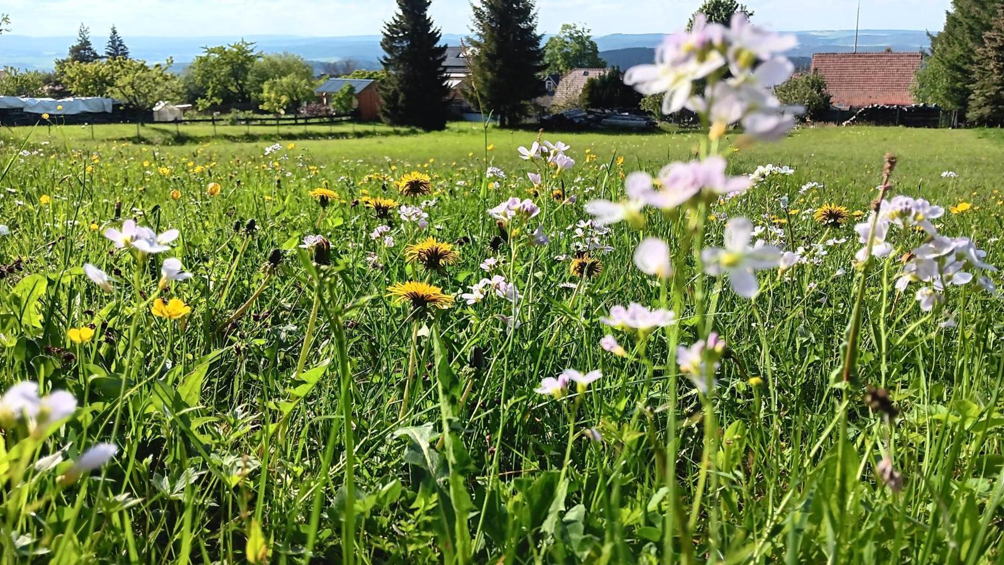 Ferienwohnung Saalfeld - Sommerfrische Burkersdorf Saalfeld Saale Eksteriør bilde